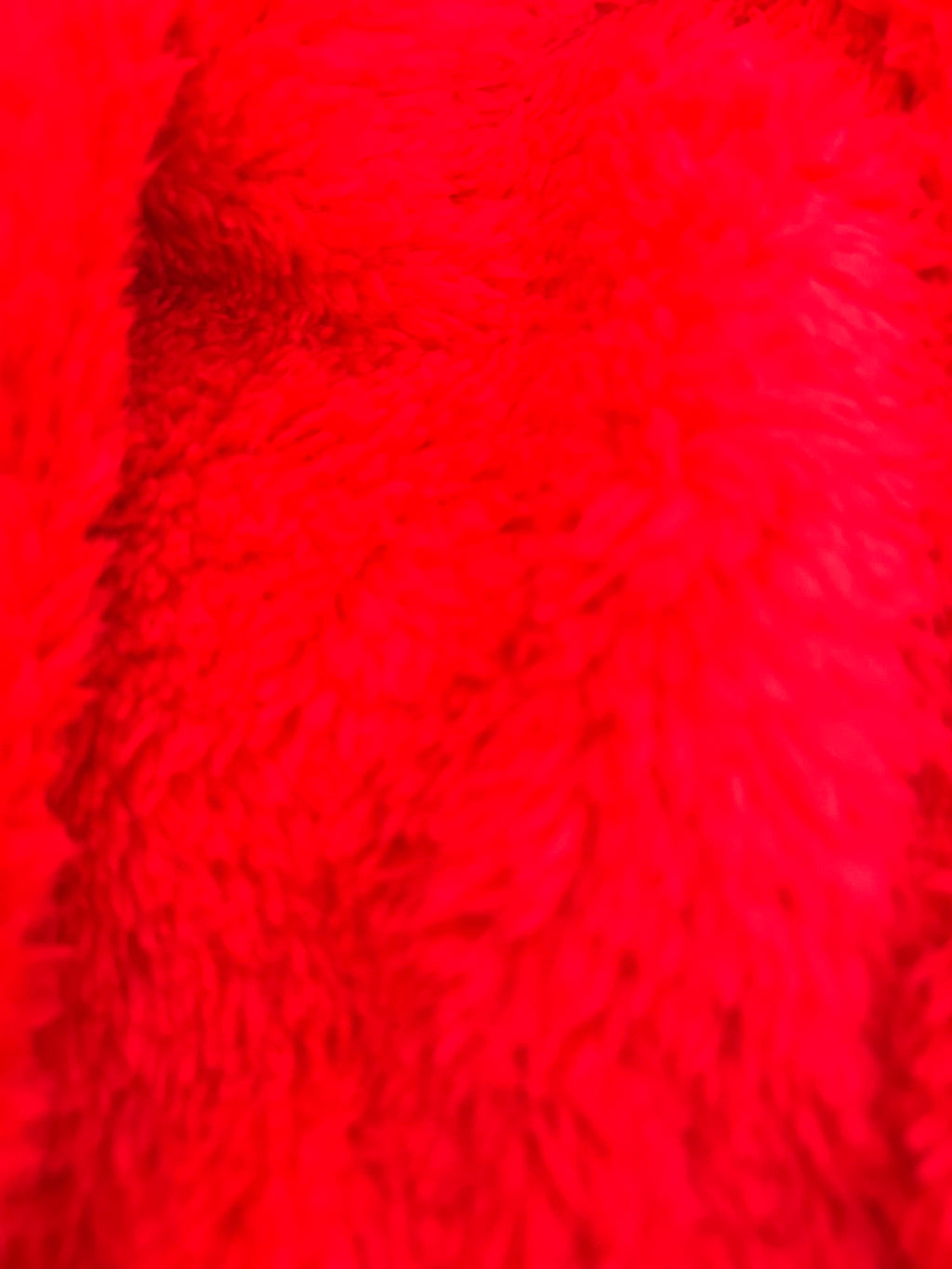 Cama Túnel Felina - Refugio de Ensueño Roja