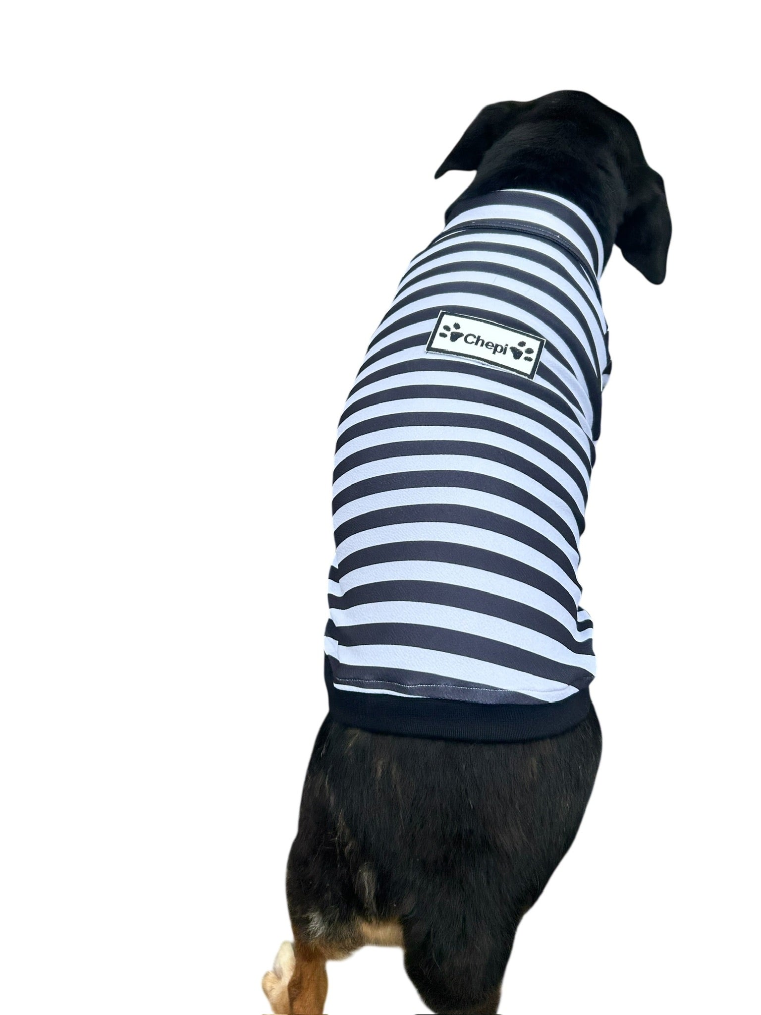 Personaliza tu Producto