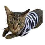 Polera Mascota FreshFit Black&White