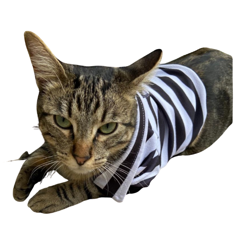 Polera Mascota FreshFit Black&White