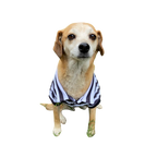 Polera Mascota FreshFit Black&White