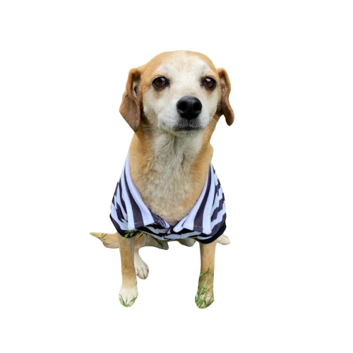 Polera Mascota FreshFit Black&White