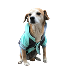 Polerón Universitario - Max Pastel