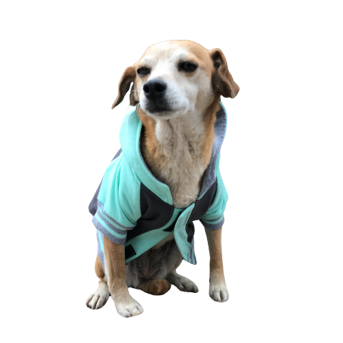 Polerón Universitario - Max Pastel