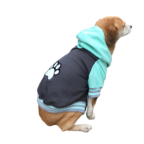 Polerón Universitario - Max Pastel