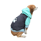 Polerón Universitario - Max Pastel