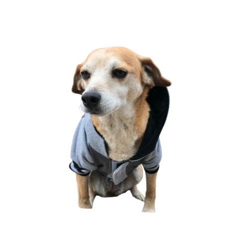 Polerón Universitario - Max Gris