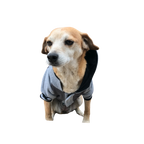 Polerón Universitario - Max Gris