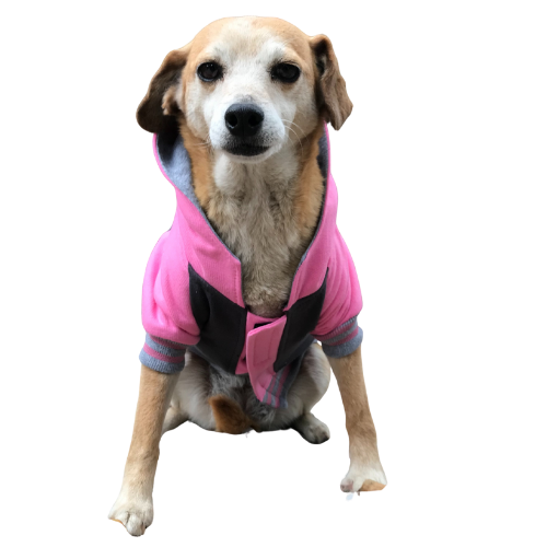 Polerón Universitario - Mimi Rosa