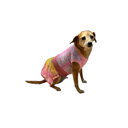 Vestido Primaveral Encantado - Aurora