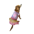 Vestido Primaveral Encantado - Aurora