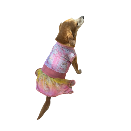 Vestido Primaveral Encantado - Aurora