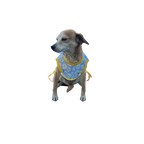 Vestido Primaveral Encantado - Iris