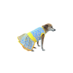 Vestido Primaveral Encantado - Iris