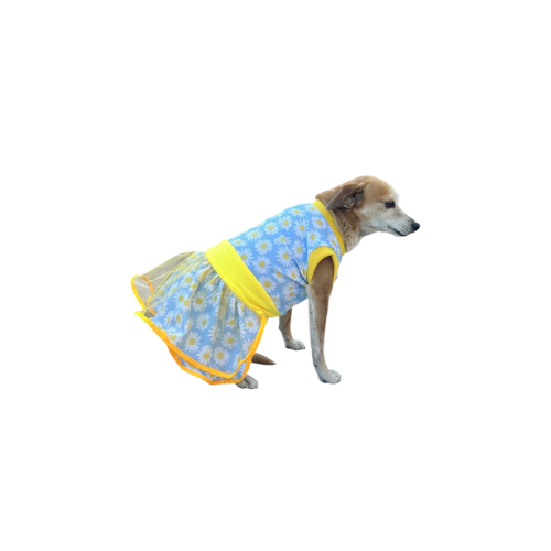 Vestido Primaveral Encantado - Iris