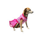 Vestido Primaveral Encantado - Mary