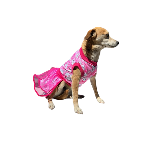 Vestido Primaveral Encantado - Mary