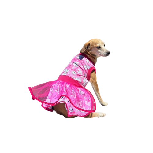 Vestido Primaveral Encantado - Mary