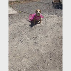 Vestido_primaveral_mary