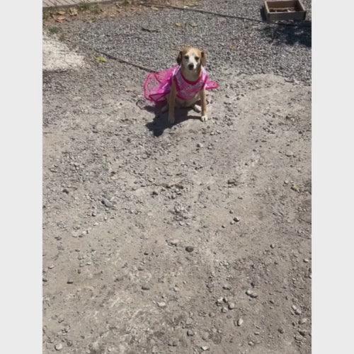 Vestido_primaveral_mary